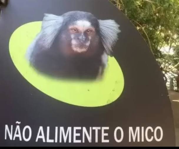 predoevcs's tweet photo. @megapeiron @folha meme amarelo e preto pra tu se identificar https://t.co/GGwDU3Zvtr