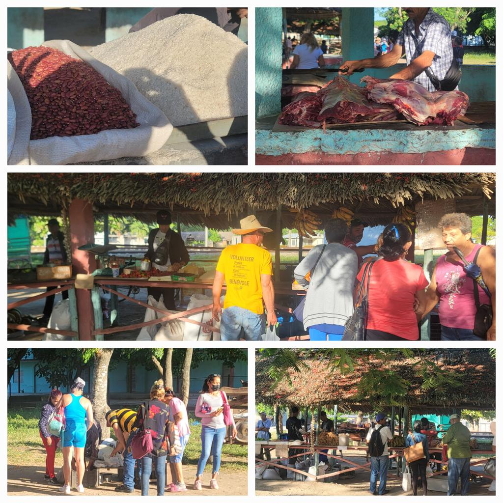 YelenysLasTunas's tweet photo. Como es habitual todos los sábados,  con el esfuerzo de productores, formas productivas y organismos se realiza  la feria agropecuaria en el municipio de  #Majibacoa
#LasTunas https://t.co/ftZ2xUbvYE