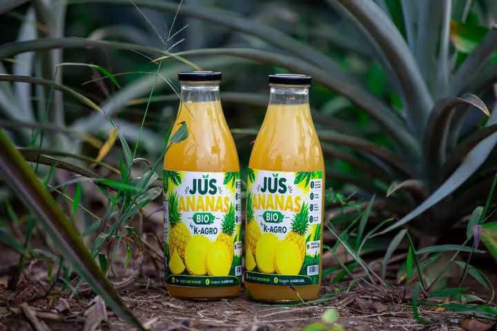 Nsangou_Khadafi's tweet photo. 🇨🇲🍍 IL A QUITTÉ L’ITALIE POUR MISER SUR L’ANANAS AU CAMEROUN : LE PARI AUDACIEUX D’EVRAD KAMDEM

Alors que beaucoup rêvent de partir en Europe, Evrad Kamdem a fait le choix inverse. Étudiant en génie mécanique en Italie, il décide en 2020 de rentrer au Cameroun pour se lancer dans l'entrepreneuriat agricole.

Convaincu que l'agriculture peut être un puissant moteur de développement, il investit dans la culture de l'ananas à Awae, dans le département de la Mefou-et-Afamba.

Inspiré par des entrepreneurs camerounais tels que Bertin Tchoffo et encouragé par la politique d'import-substitution, il construit progressivement une exploitation agricole qui met en valeur la production locale et participe à la création de richesses.

Son parcours rappelle que les opportunités existent aussi au Cameroun pour celles et ceux qui osent entreprendre. Un bel exemple de courage, de vision et de confiance en l'avenir du pays. 🇨🇲👏