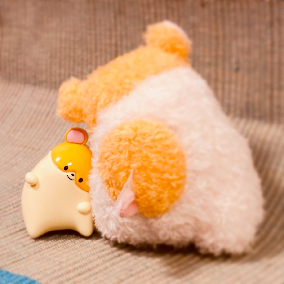 omurot's tweet photo. ツルツルとフワフワ。 #ちらりズ https://t.co/LFXLOSb63G