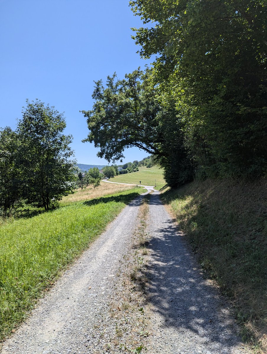 JafreNa's tweet photo. Unterwegs im Naturschutzgebiet Nüstenbachtal bei Mosbach (Baden) https://t.co/GIKnWHd4FY