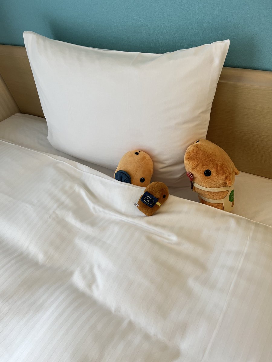 lankpsan's tweet photo. 写真の投稿順めっちゃ間違えてました… https://t.co/58eMod91nr