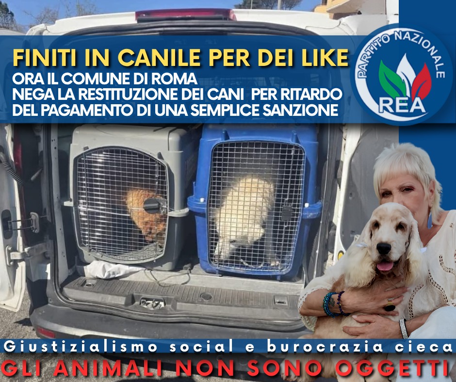 REApartito's tweet photo. Gli influencer fanno spettacolo sulla pelle degli animali: REA denuncia il dramma di una famiglia a Roma
Dopo il caso Alabai, un nuovo blitz sensazionalista strappa due cani alla loro casa. Il REA: «Animali rinchiusi a Muratella con il caldo torrido per un ritardo burocratico... https://t.co/nIL6q01BQ3