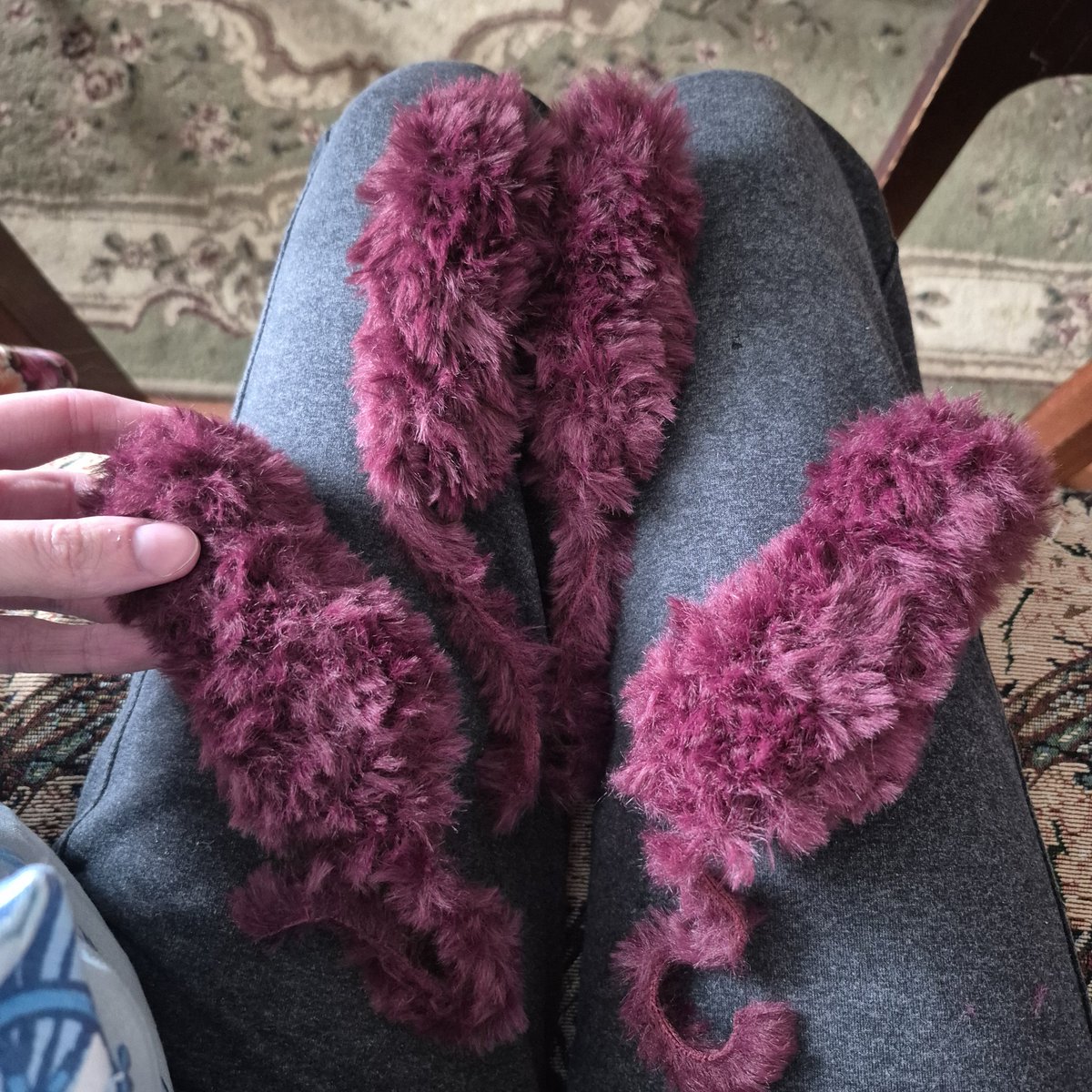 Angora tweet media