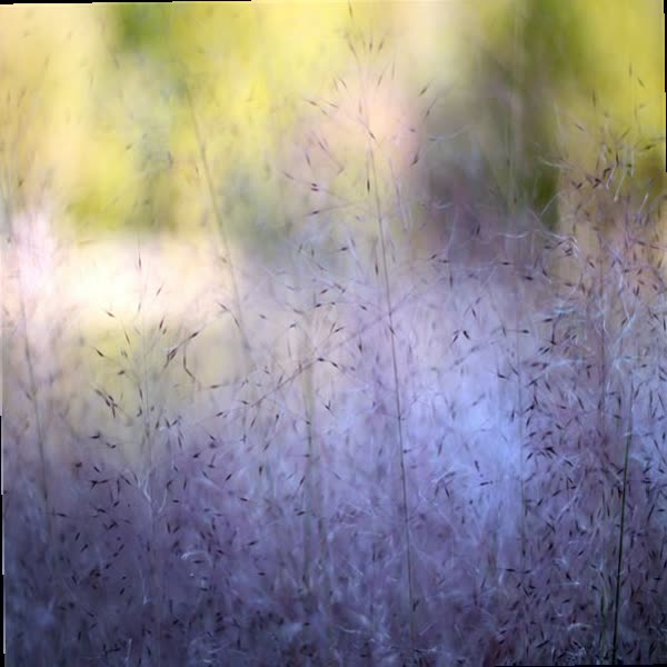 41Lieu's tweet photo. Love is something eternal; the aspect may change, but not the essence.🐄💧🟤
It’s foggy. https://t.co/28aWUAcrYp