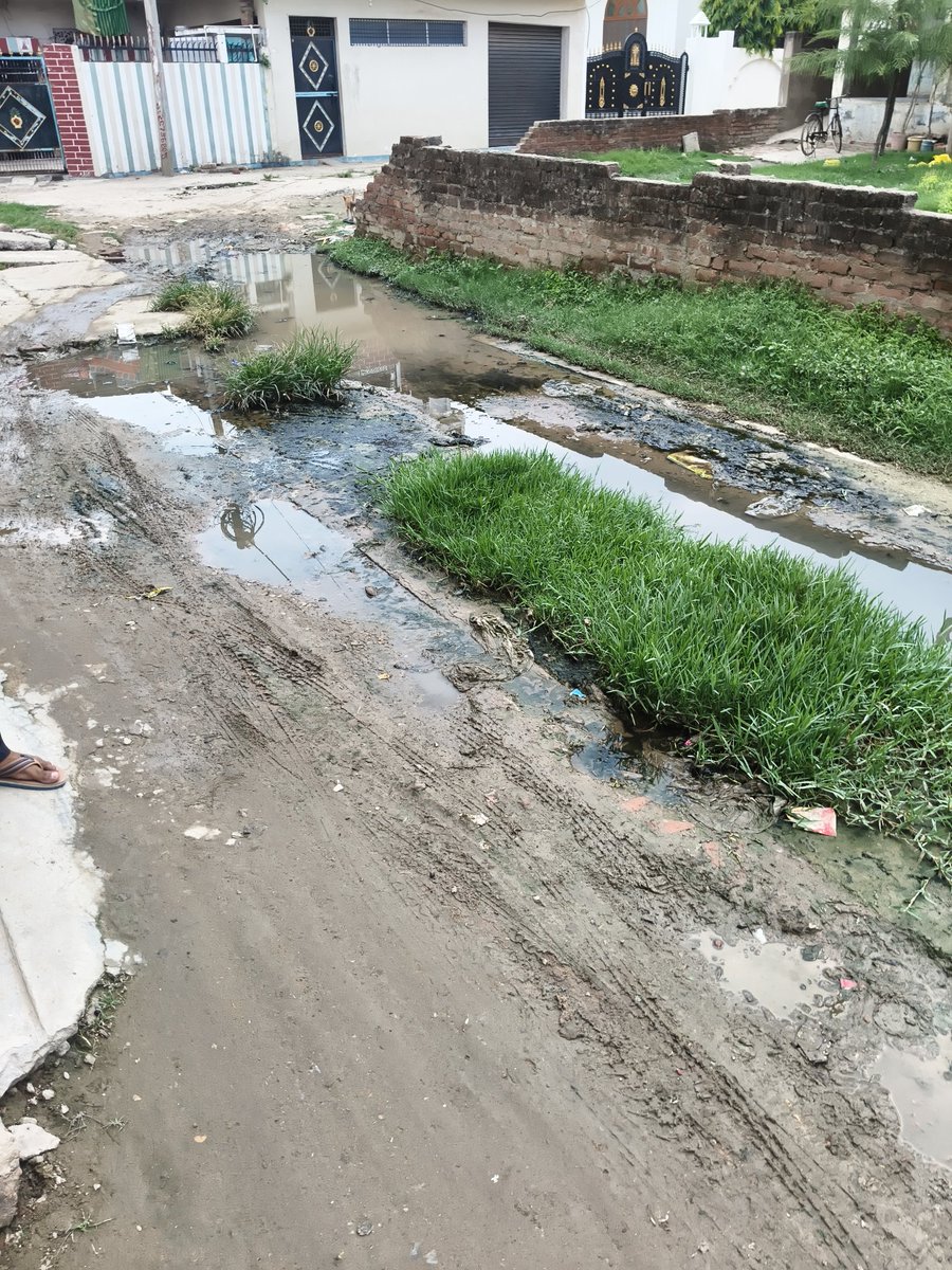 RushilYadav3's tweet photo. ये जगह पल्हनी ब्लॉक के पीछे की है पल्हनी ग्राम में आता है यहां से प्रधान कैलाश यादव जी 5 वर्ष से इस रास्ते से गायब है, प्रधान जी की दिव्य दृष्टि शायद आगामी चुनाव पर पड़े, पर यहां के विभाग की नजर पता नही कब पड़ेगी।
@dmazamgarh
@UPGovt
@AzamgarhLokSbha
#विश्वगुरु_भारत
#विकास_काम https://t.co/wbBJpyoOkC