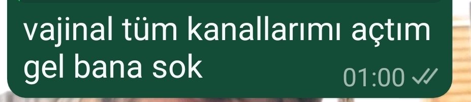 ayauluyankurt's tweet photo. ekin kocun herhangi bir rolüne karsı (patavatsızlıgım ektedir https://t.co/i6eXCmbi4m