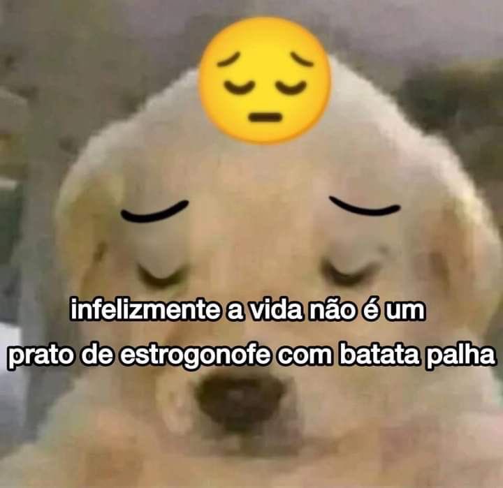 Shitpost só que de verdade tweet media