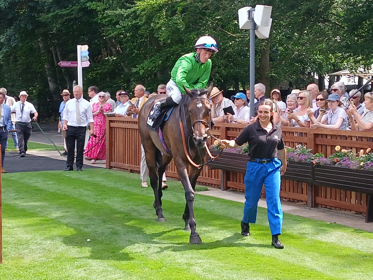 GrahamClark85's tweet photo. A delighted Ed Greatrex gives the @RalphBeckett trained Tattycoram to Group Two glory in the re-routed Lancashire Oaks @NewmarketRace https://t.co/aZi1DsutxM