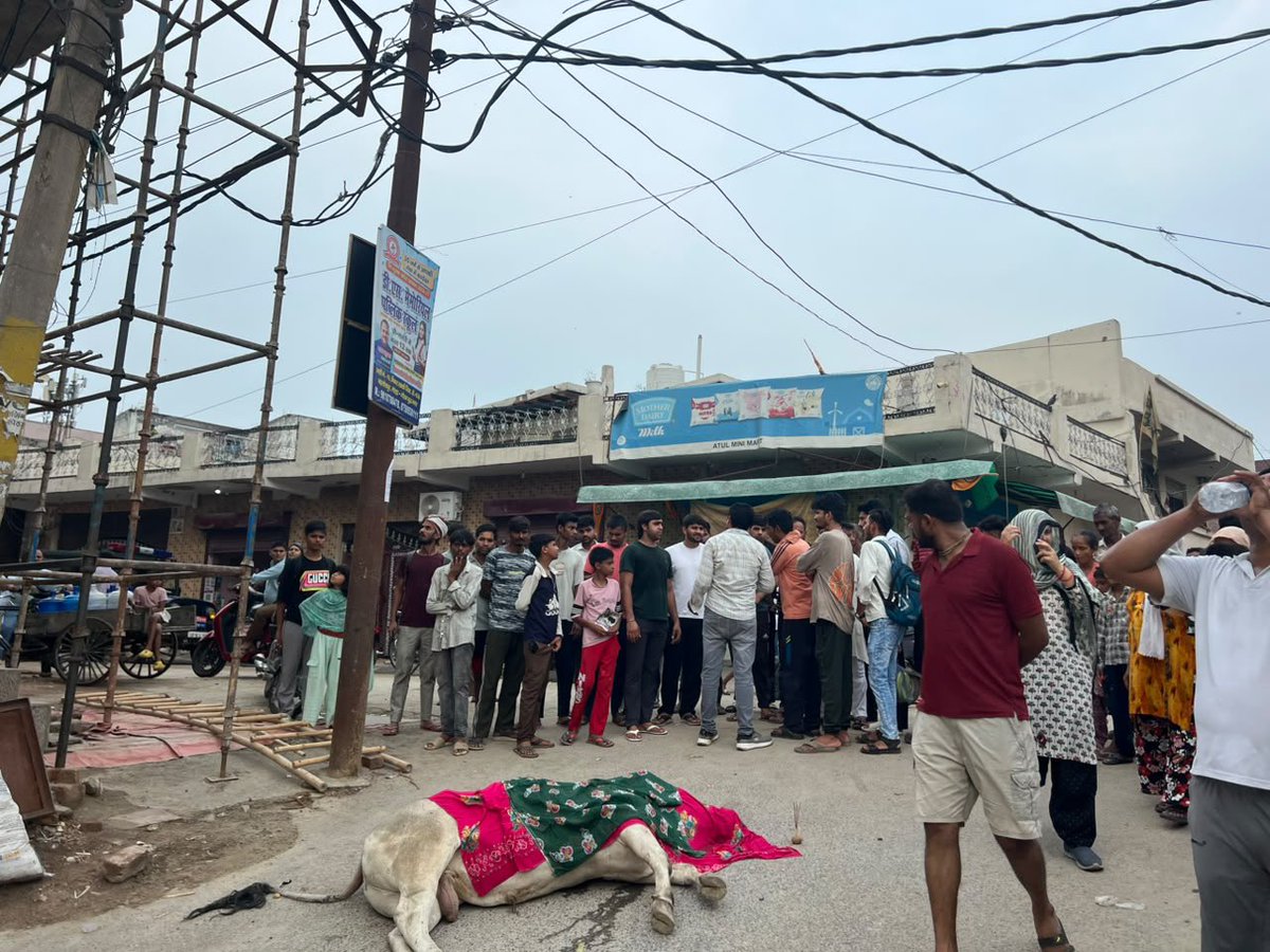 Newstimebharat1's tweet photo. नोएडा: बहलोलपुर, गली नंबर 16 में बिजली के खंभे में कथित करंट उतरने से एक बेजुबान पशु की मौत। स्थानीय लोगों ने हादसे की आशंका जताते हुए तत्काल कार्रवाई की मांग की है|
#Noida #Bahalolpur #Electricity #Safety #BreakingNews @noidapolice @DCP_Noida @UPPCLLKO @noida_authority https://t.co/bASoI5V9lH