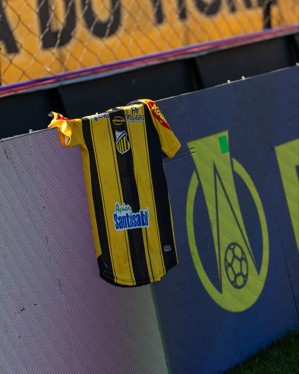 novorizontino's tweet photo. 🟨⬛️ O Jorjão já está pronto para receber você, torcedor! 
Venha apoiar e torcer junto com a gente em busca de mais uma vitória do Tigre do Vale! 

📸 Juan Rodrigues / Novorizontino 

#PaixãoPeloNovorizontino #PraCimaNovorizontino #BrasileirãoB https://t.co/b3ctdSnc6u