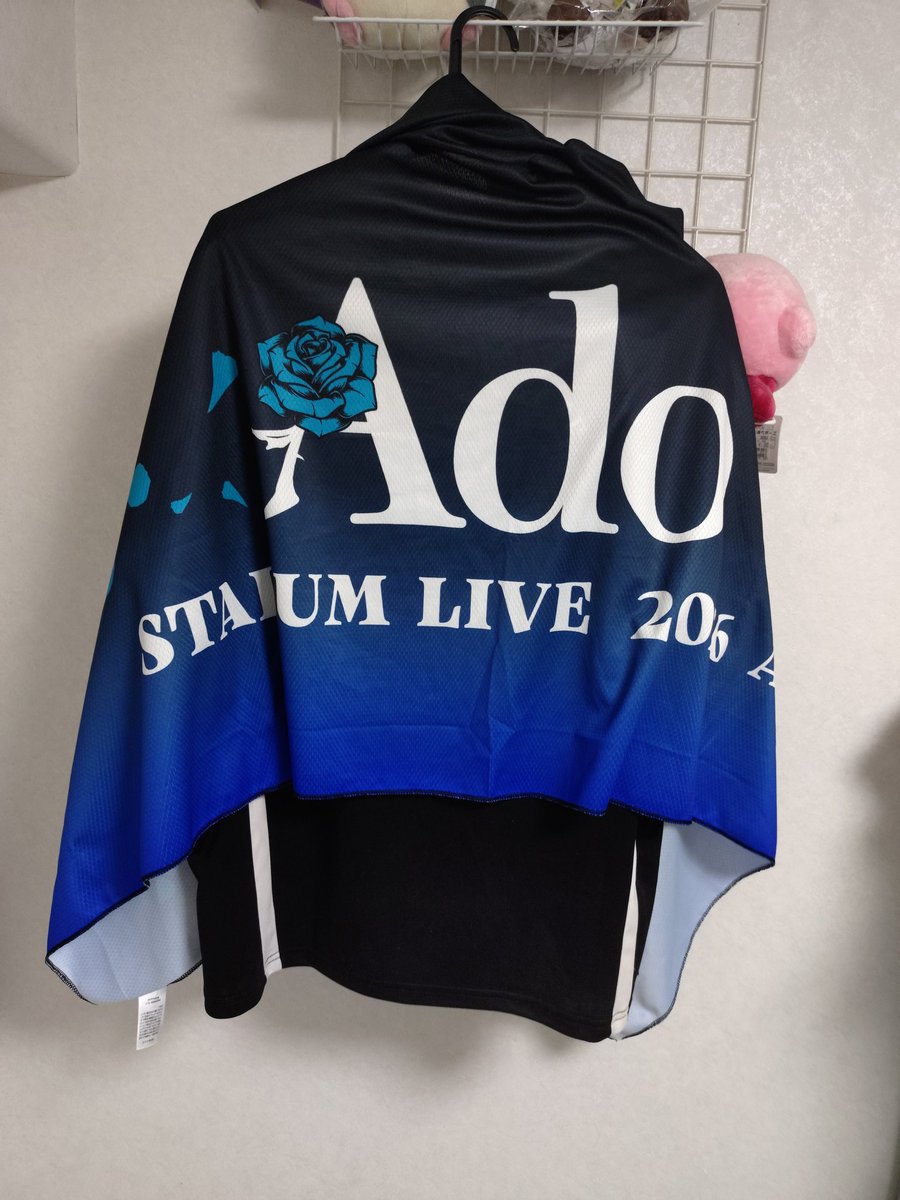 shyTen104's tweet photo. 久々に「楽しかった〜！」だけに留まらない貴重なライブ体験をさせてもらいました、ありがとうAdoさん
同じ時代、同じ国に生まれてきてくれたことに心から感謝します https://t.co/00B28Nt4BS