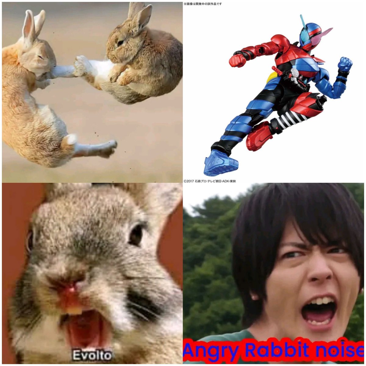 YokaiRiderVT's tweet photo. KAMEN RIDER BUILD THE RABBIT BOY‼️ https://t.co/g9dP0arl6W