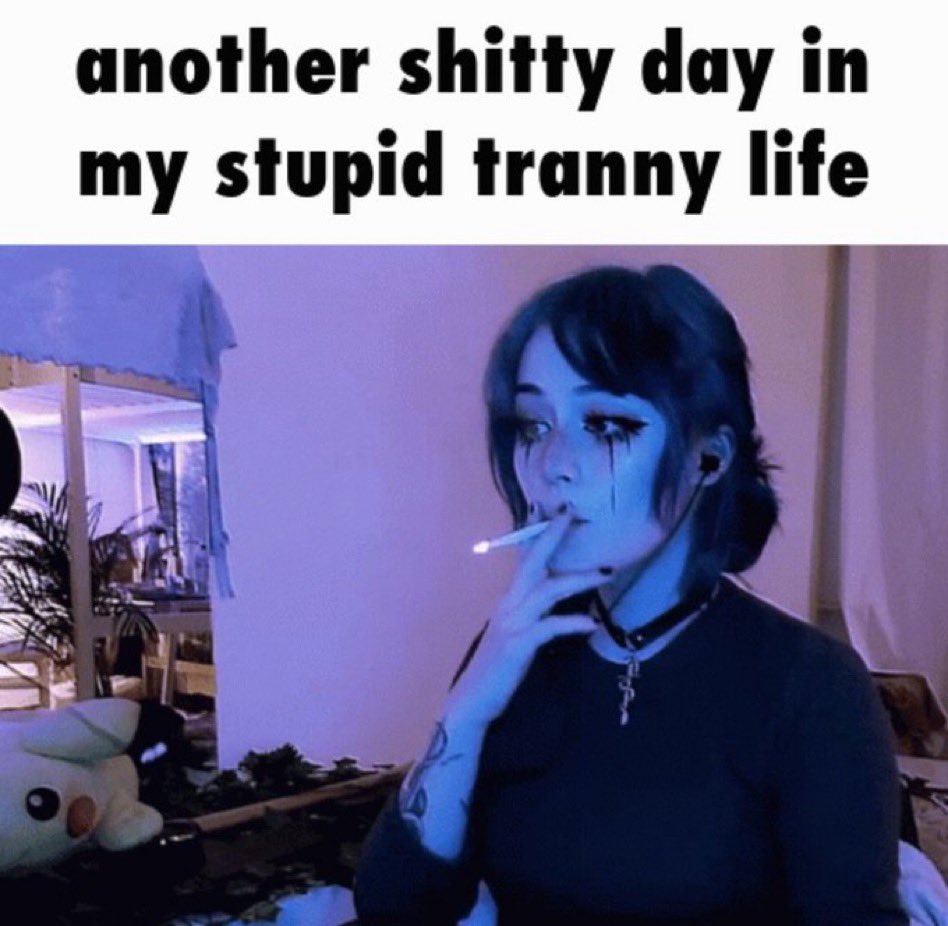 Chairwoman Meow tweet media