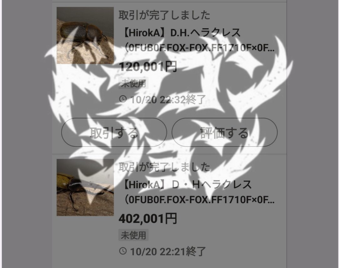 dragonjohn55's tweet photo. HirokAさんとヤフオクでお取り引きをしたことがあれば必ずHirokAさんの評価がありますからね😌
HirokAさんはお取り引き毎に評価をしてます🧐
最初は出品アカと販売アカと分けてヤフオクやってるのかと思ったけど普通に当該アカで買い物もしてるし😳
＃DHヘラクレス ＃HirokA https://t.co/kOsO6Cx9TK