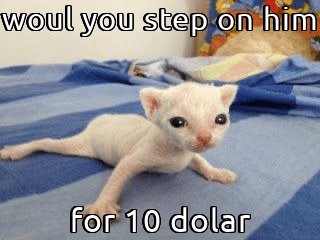 alore404's tweet photo. https://t.co/VUisgWqeaN