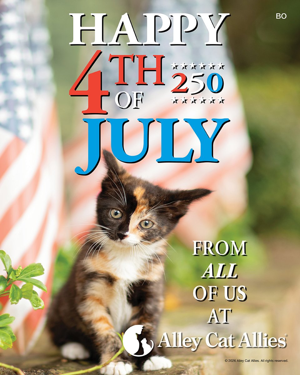 alleycatallies's tweet photo. Happy Fourth of July from all of us at Alley Cat Allies! ❤️🤍💙

We hope you're enjoying time with the people--and the cats--you love through the long weekend.

For tips to keep cats calm and safe during the celebrations and fireworks, head here: https://t.co/cKLX65dnBs

#fourthofjuly #4thofjuly #independenceday #fireworksafety #catsafetytips