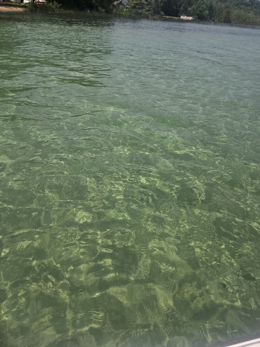 Colton6713701's tweet photo. #Torchlake https://t.co/A7fXdZaFHG