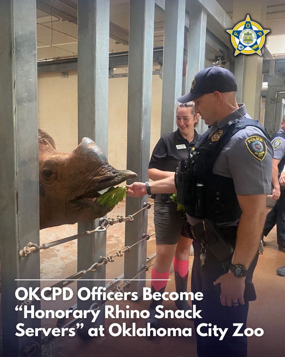 GLFOP's tweet photo. A routine response turned into an unforgettable moment at the Oklahoma City Zoo and Botanical Garden.

Officers with the Oklahoma City Police Department were assisting with an unrelated call when they had the opportunity to interact with one of the zoo’s rhinos, even helping with feeding time alongside zookeepers.

While the visit was unexpected, it highlighted the strong partnerships between public safety and local community institutions, along with a lighter side of service that builds connection and trust.

Moments like these show that even on the job, officers can find opportunities to engage with the community in positive and memorable ways.

Credit: Oklahoma City Police Department (used for informational purposes)

#CommunityPolicing #OKCPD #OKCZoo #PublicSafety #PositiveEngagement #FOPStrong