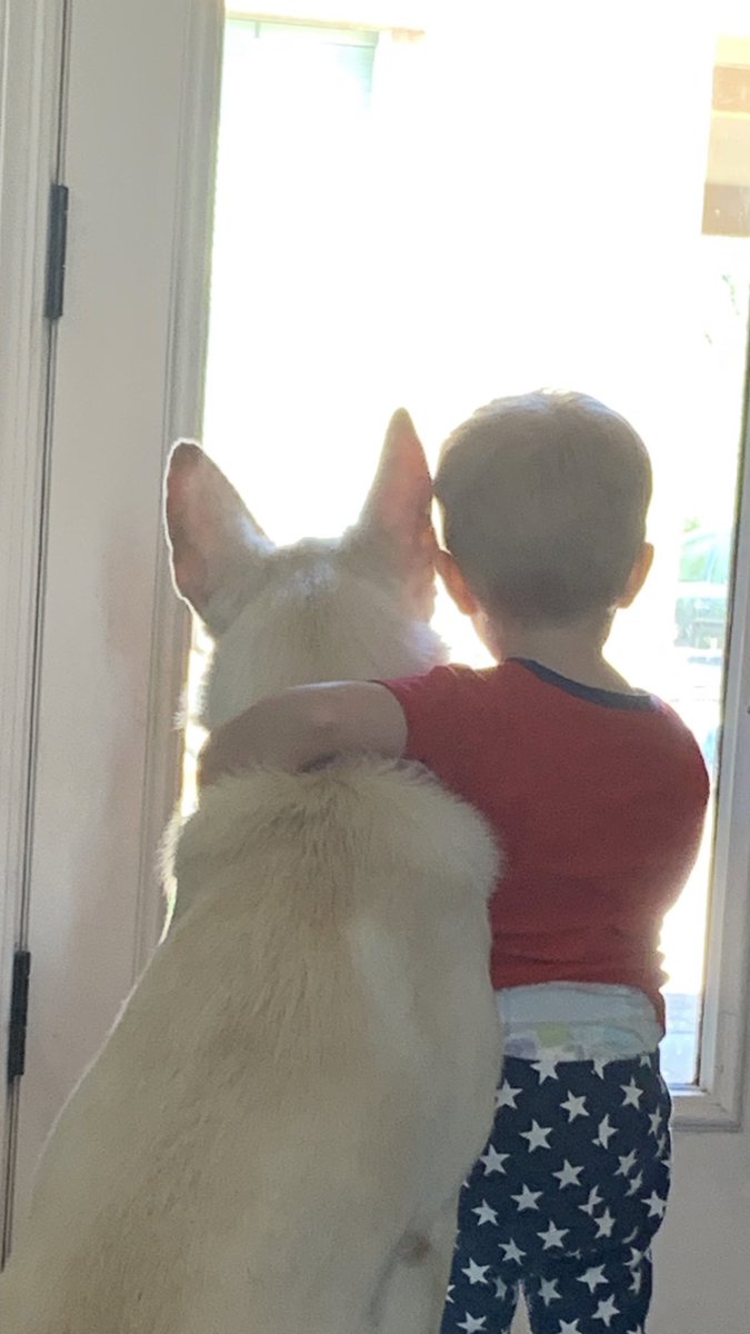 AZMomOfThree's tweet photo. @JohnDParody My all time fav pic of my youngest and our Whited German Shepherd ❤️🤍💙 🇺🇸 https://t.co/RV507kXFHQ
