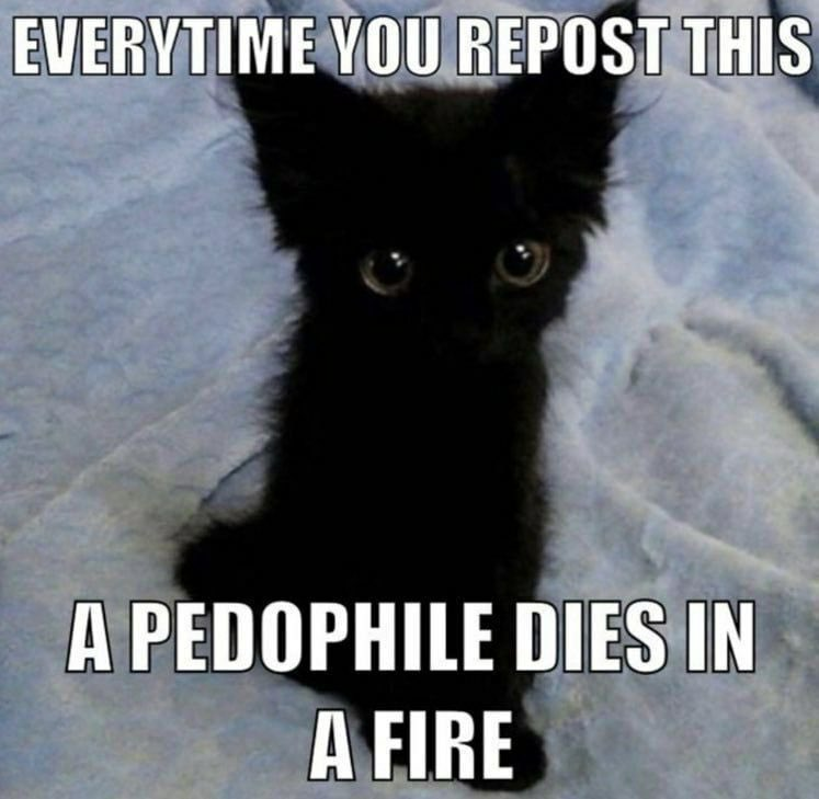 Paula_gamer_ tweet picture