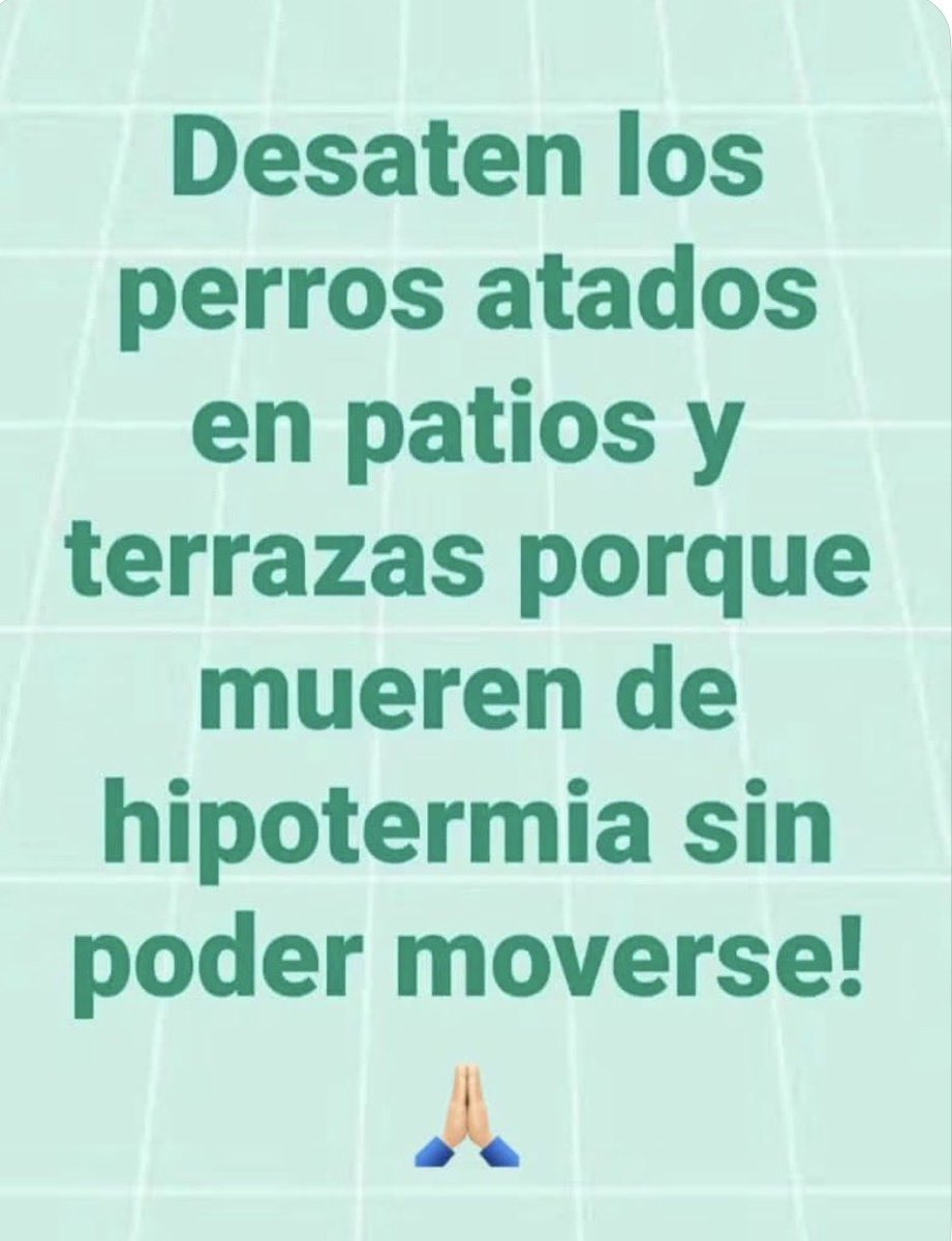 Vigiaone's tweet photo. https://t.co/lcxEmvaTga