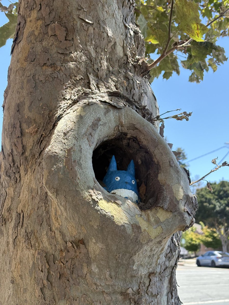 mere_sr's tweet photo. The Bay Area full of surprises😁 https://t.co/jaJNLKcFM6
