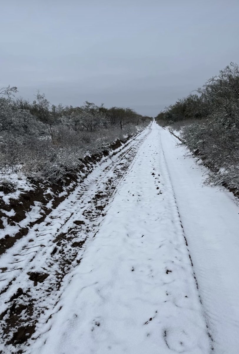 doloValeAllende's tweet photo. Caminos nevados ! 🙌
#campo https://t.co/JUsgKEUBL6