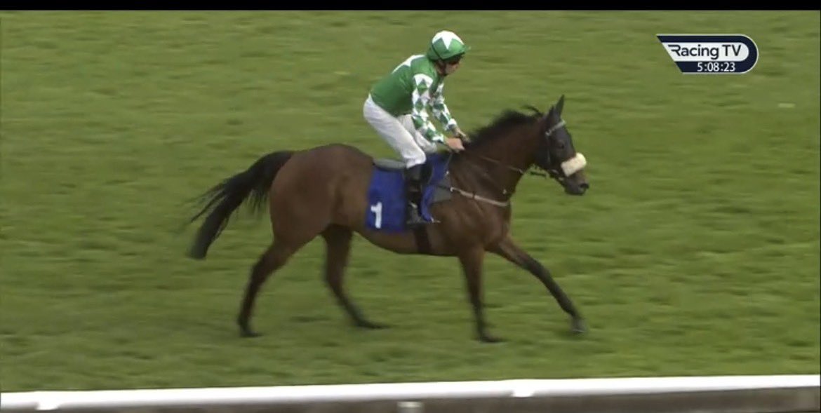 EWAYDOUBLE's tweet photo. Palmarian wins at 13/2 
Cracking ride from Jimmy Sullivan 
Well done @RuthCarr1 👍🐎💷 https://t.co/3ku99LumJS