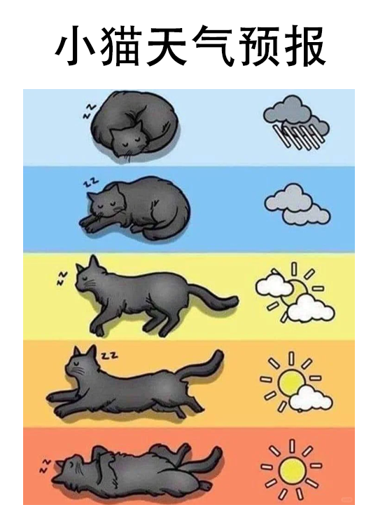 lyudmila_al's tweet photo. Turned in my group project yesterday and found out my lab partner’s "data analysis" was just cat photos labeled as "experimental variables"  Who said stats can’t be purr-sonal https://t.co/E1EGc1nBwU