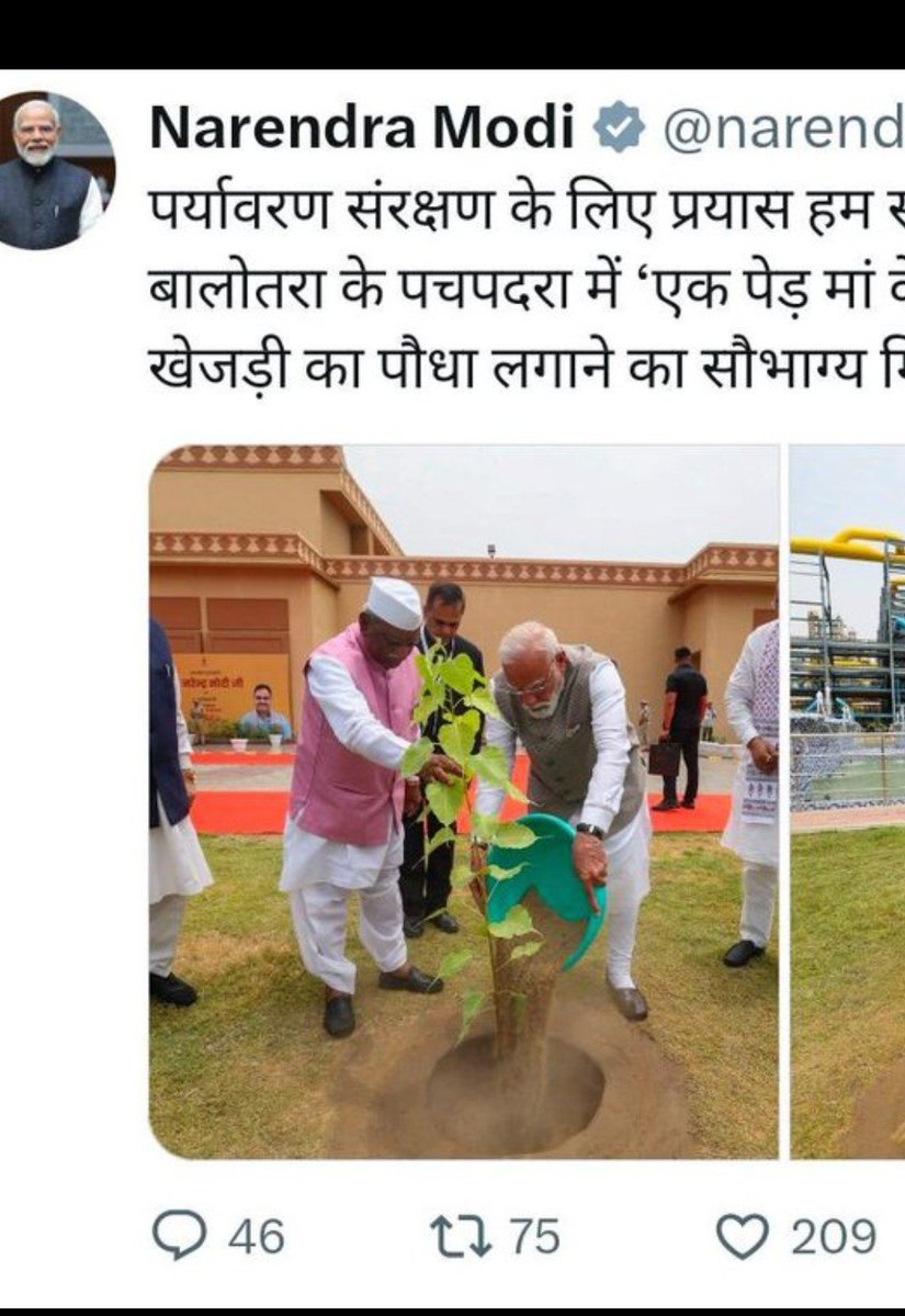 Ravikumar7045's tweet photo. अंधे व्यक्ति भी बता दें की पेड़ किस का है 😃 
ये सत्य है लेकिन ये भी हो सकता है की फोटो गलत चयन कर लिया है पेड़ तो लागाया होगा जरूर खेजड़ी का ही 😃 https://t.co/19fU0Pqquf