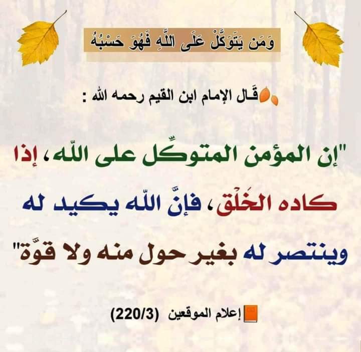 المصحف الجامع tweet media