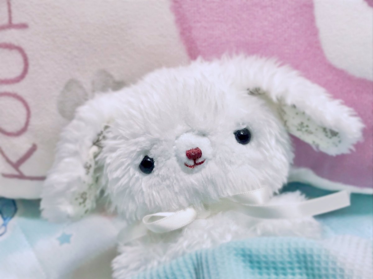 hinatanuinui's tweet photo. ねむいの〜 https://t.co/9TkurxMxXj