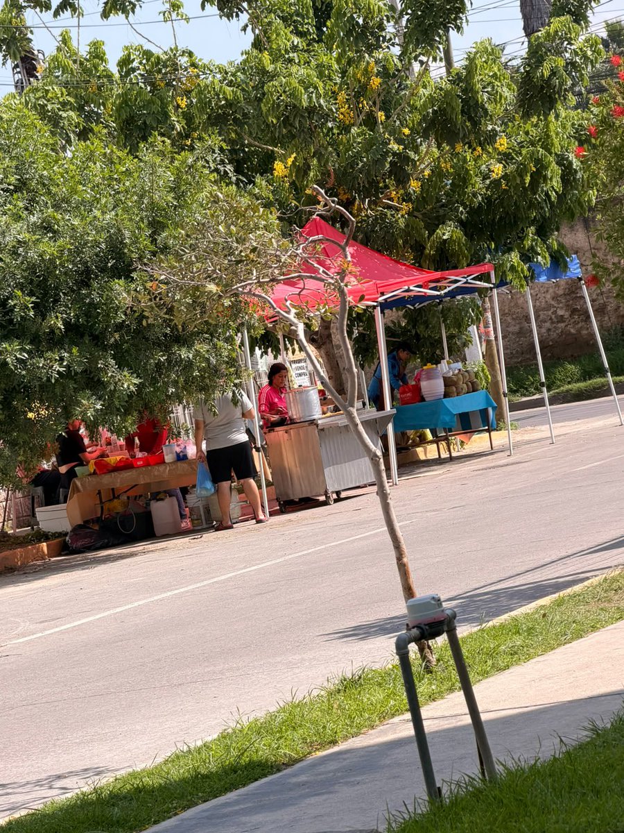 RAYMONDGDL's tweet photo. @ZapopanGob @InspZapopan nos pueden apoyar con estos vendedores, están obstruyendo la vía pública , están en la entrada y salir a de vehículos, camino antiguo a Tesistán casi esquina de Calixto Quirarte Villaseñor https://t.co/LPz8yEDhyz