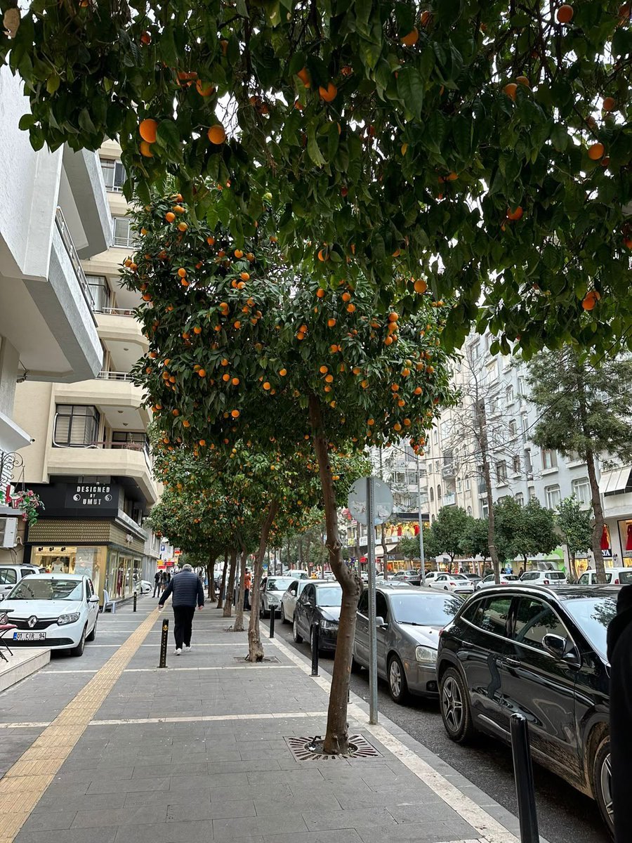 Tmolozt's tweet photo. 🚧 https://t.co/VMhUJ1IoD7