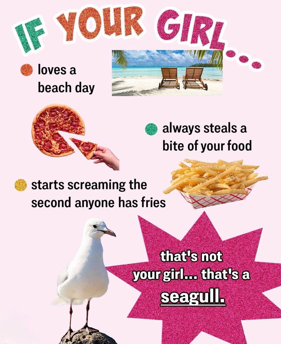 RespectfulMemes's tweet photo. https://t.co/y1COJuHcIj
