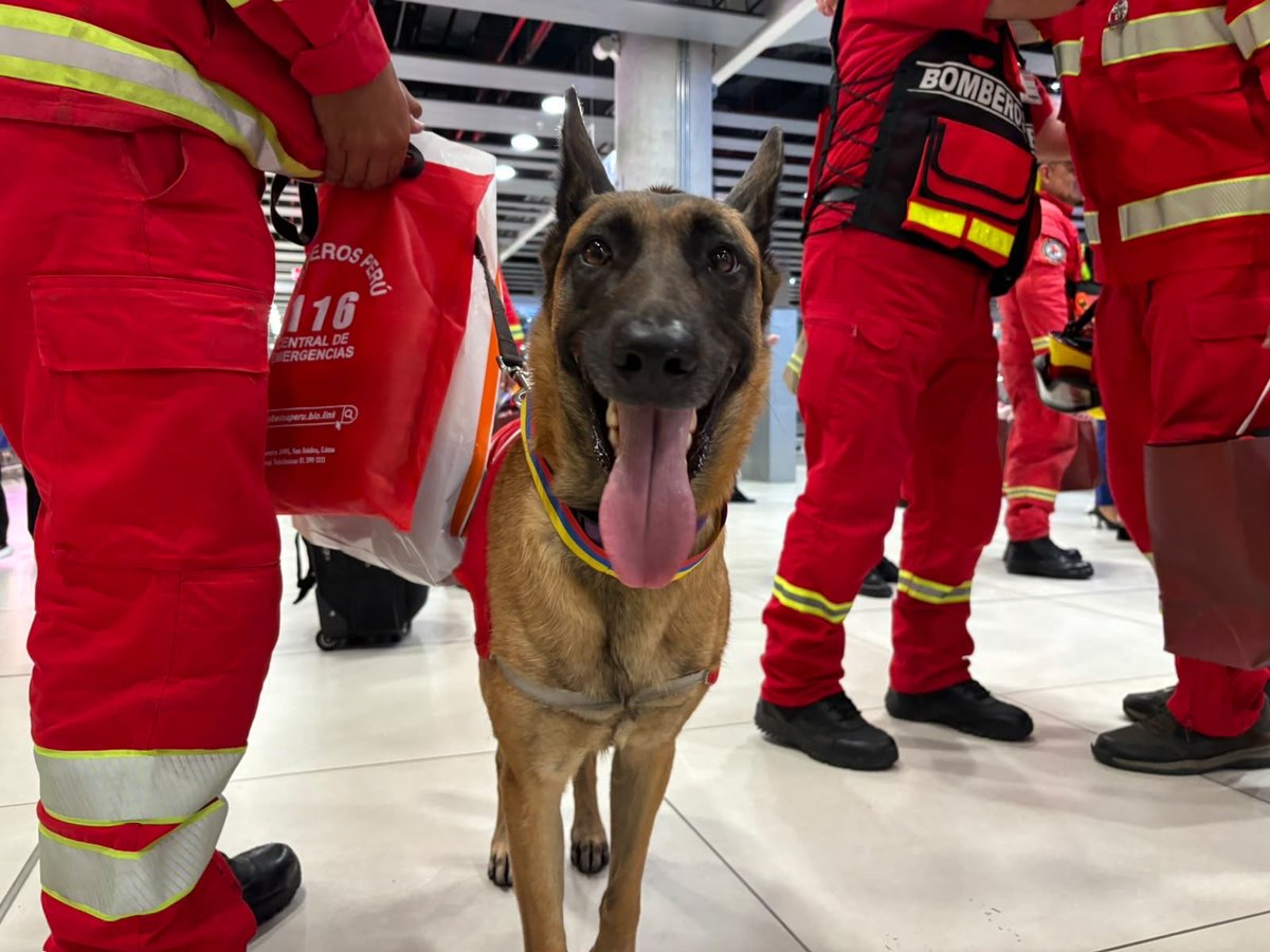 CancilleriaPeru's tweet photo. NoticiasTorreTagle | El equipo USAR del Cuerpo General de Bomberos Voluntarios del Perú 🇵🇪retornó al país luego de brindar apoyo solidario en las labores de búsqueda y rescate en Venezuela. 🇻🇪 

El despliegue se logró tras gestiones realizadas por la Cancillería, en coordinación con el Ministerio del Interior. A su regreso, sus integrantes recibieron un reconocimiento por su destacada labor y compromiso con la asistencia humanitaria.