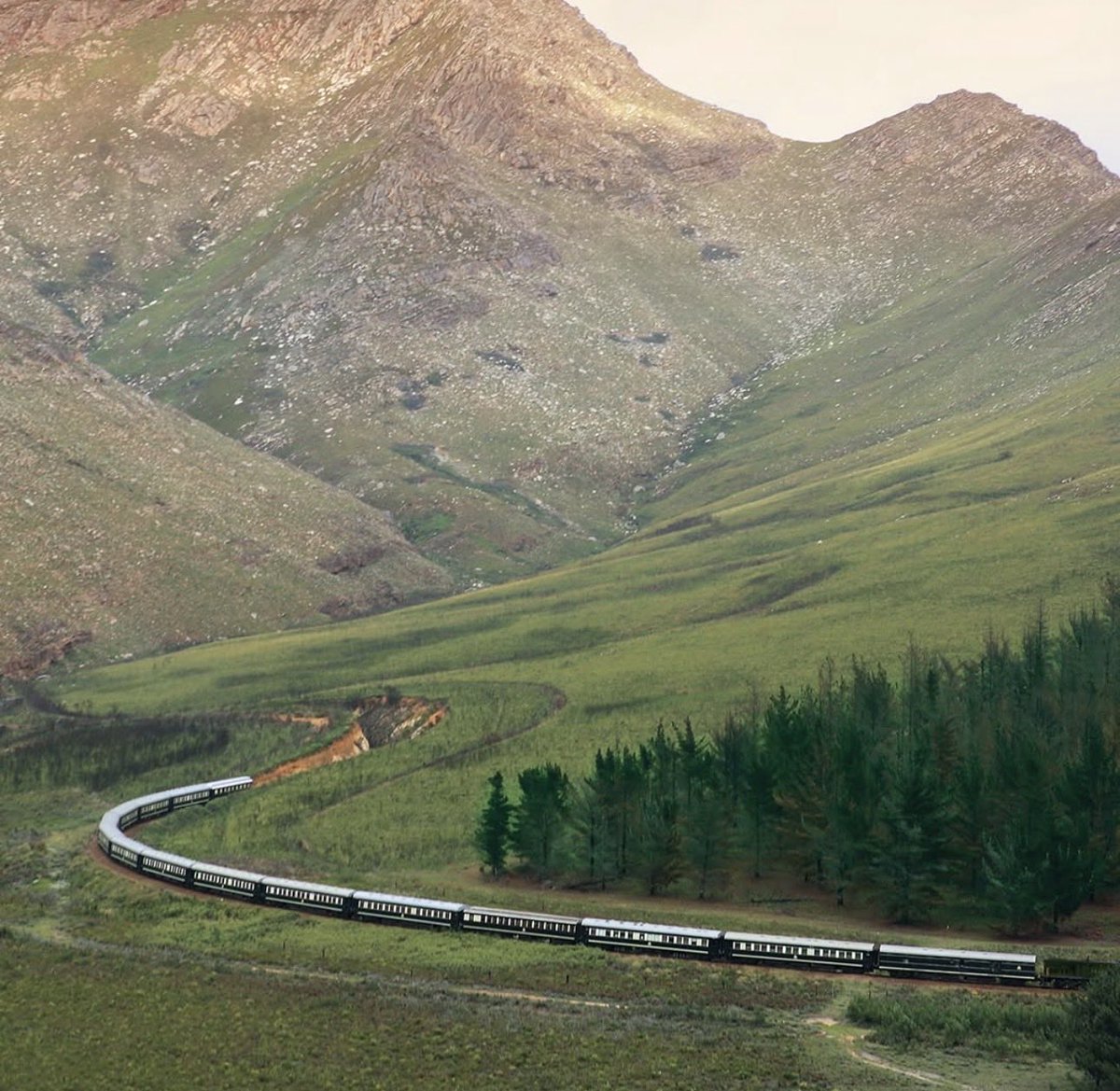 stats_wire's tweet photo. Africa’s most luxurious train journey goes from Cape Town 🇿🇦 to Dar es Salaam 🇹🇿

5,800km across 5 countries in 16 days aboard Rovos Rail the Pride of Africa

1. Starting from $16,500 per person
2. Big 5 safari in Madikwe
3. Victoria Falls overnight
4. Nyerere National Park
5. Arrives at the Swahili Coast

Only 72 passengers per journey
