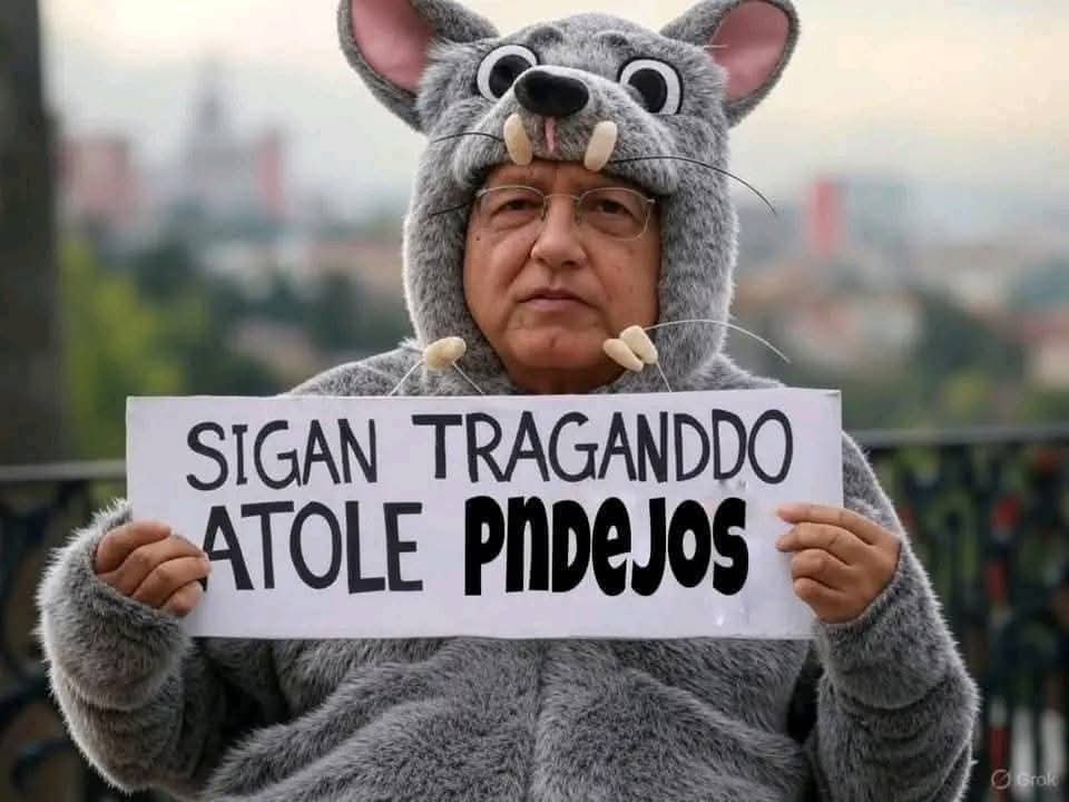 MCamaxtli's tweet photo. @monerorape En tus putos sueños... https://t.co/rQb9QgP79f
