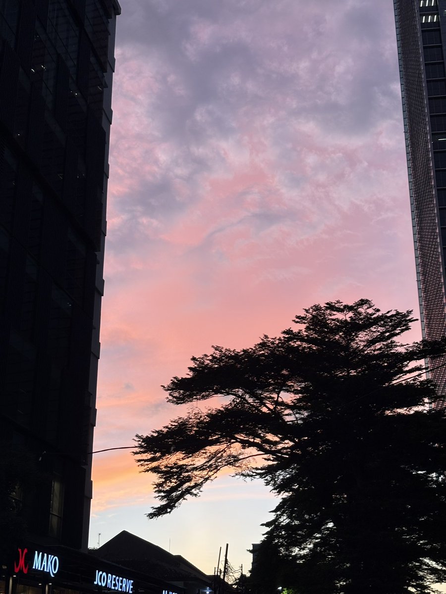 accideuntly's tweet photo. I've seen it in real life https://t.co/crZnkIf3OV