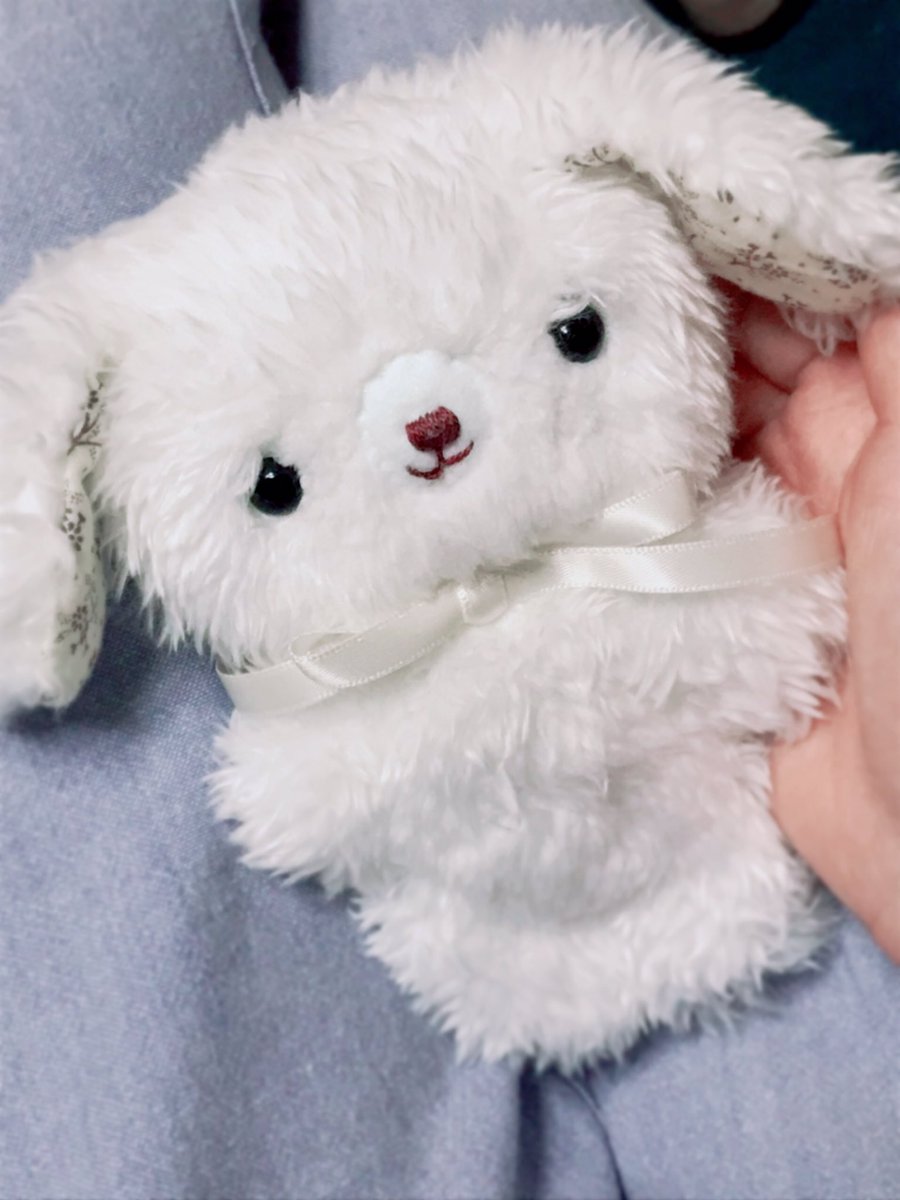 hinatanuinui's tweet photo. 久しぶりにめるたん出したら毛並みが乱れて今までになく眠そうな感じになってて笑ってしまった ごめんて… https://t.co/Km61mvhjUG