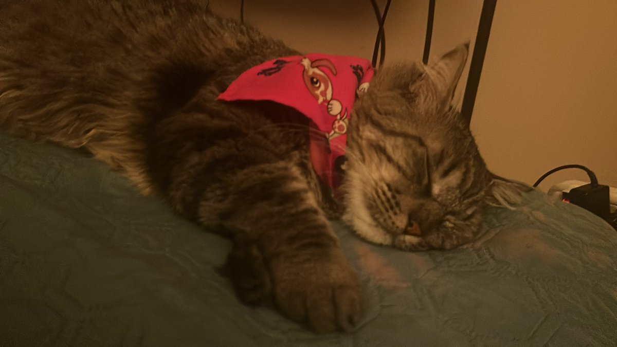 vincesmuse's tweet photo. @sklrcr @rabblinquent @wynterrsummer this is hims #rightnow do you like his red scarf thing. towel. i don’t know what it’s called. his outfit https://t.co/YYy4LZIuPE