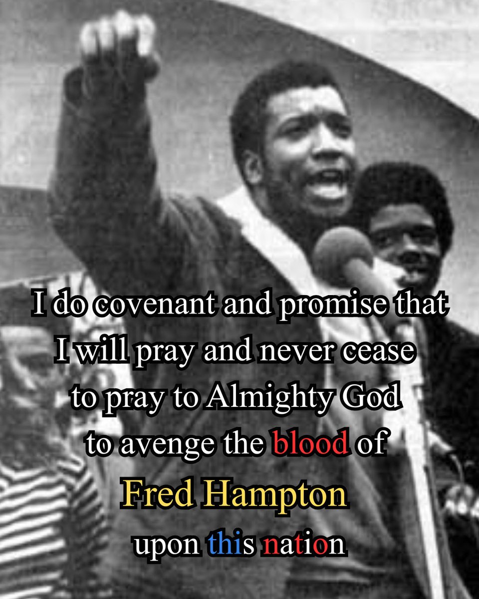Nate 🐝🌹🇵🇸 tweet media