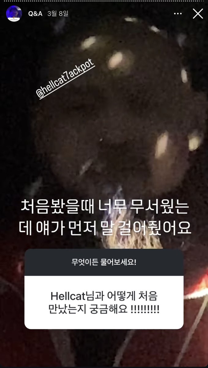 bpmbop's tweet photo. 하이라이트 중 저장한 게 이것 뿐이라니..
기억이 휘발되고 있어 슬푸다💧
(와중에 수염 하이라이트는 웃김) https://t.co/butopAhDQ6
