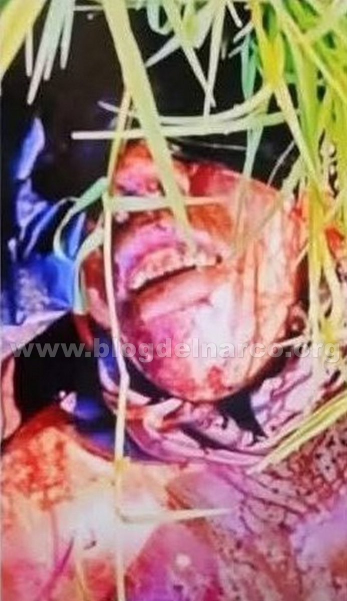blogdelnarcomex's tweet photo. Fue localizado el cuerpo del activista y comunicador Alex Serna, denunciaba proyectos inmobiliarios irregulares y afectaciones ambientales en Guerrero, fue torturado y asesinado, Liz Tapia, alcaldesa de Zihuatanejo esta embarrada (Informacion en el enlace) https://t.co/n7tcxsEPfe https://t.co/pXQ1gk7kZZ