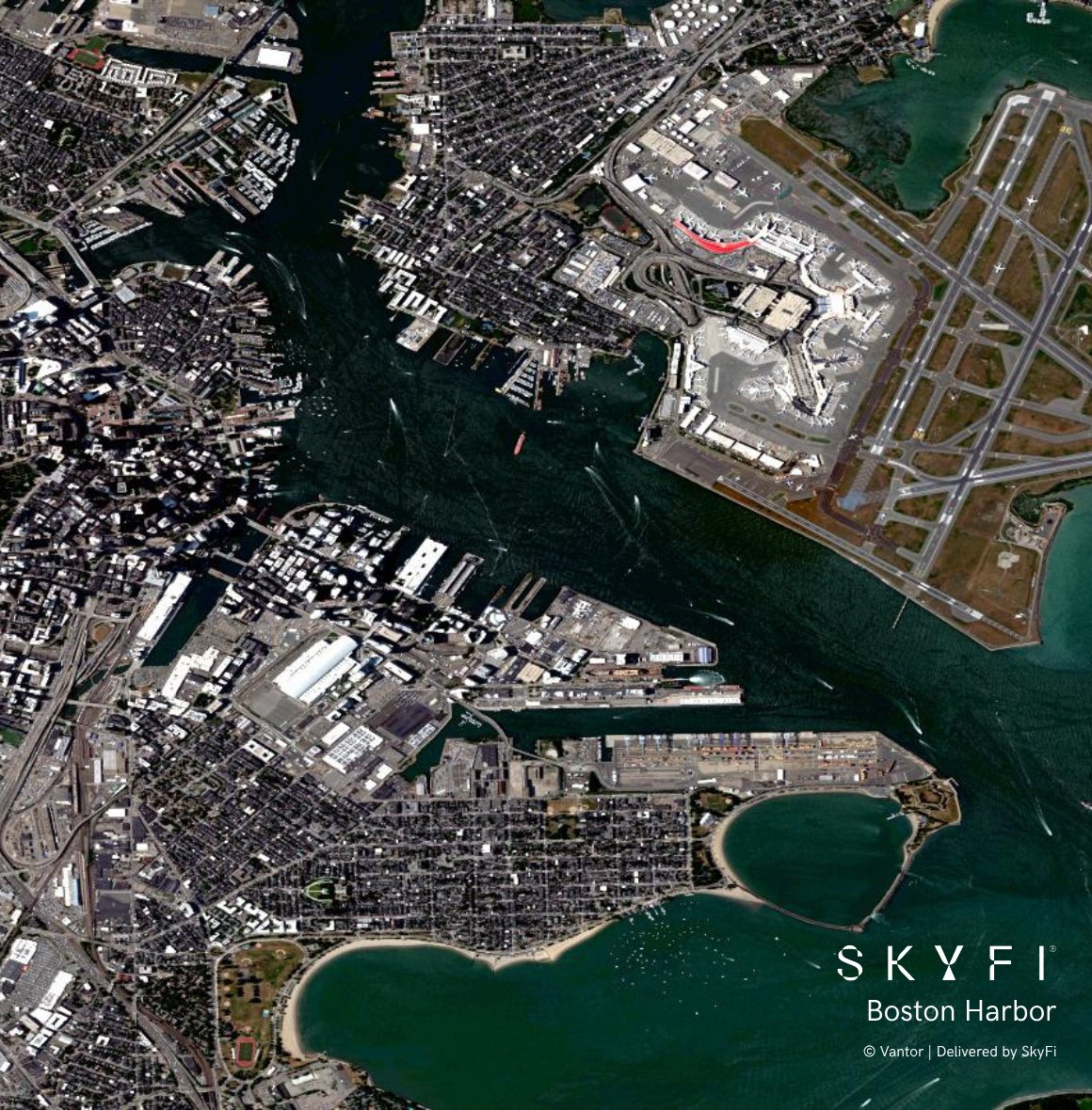 SkyfiApp's tweet photo. One nation, from sea to shining sea. 

The founders believed a country could belong to its people. We think the view should too.

Happy 250th birthday America. Here's to the next 250 🇺🇸

#America250 #July4th https://t.co/cAX6NPkE0x