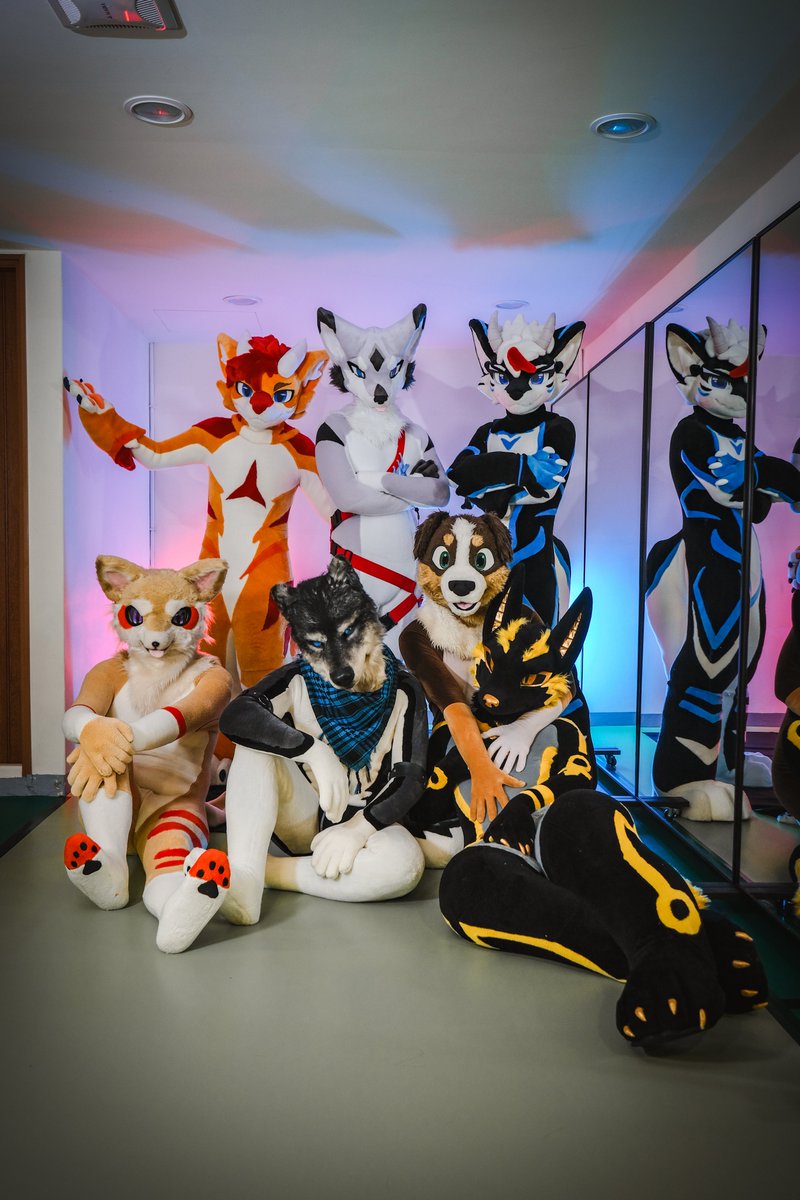 Fox_pups's tweet photo. 只要我還在吸!就不會有PCD啦!!
攝影:@DD_Woof https://t.co/drGmkEXrO0