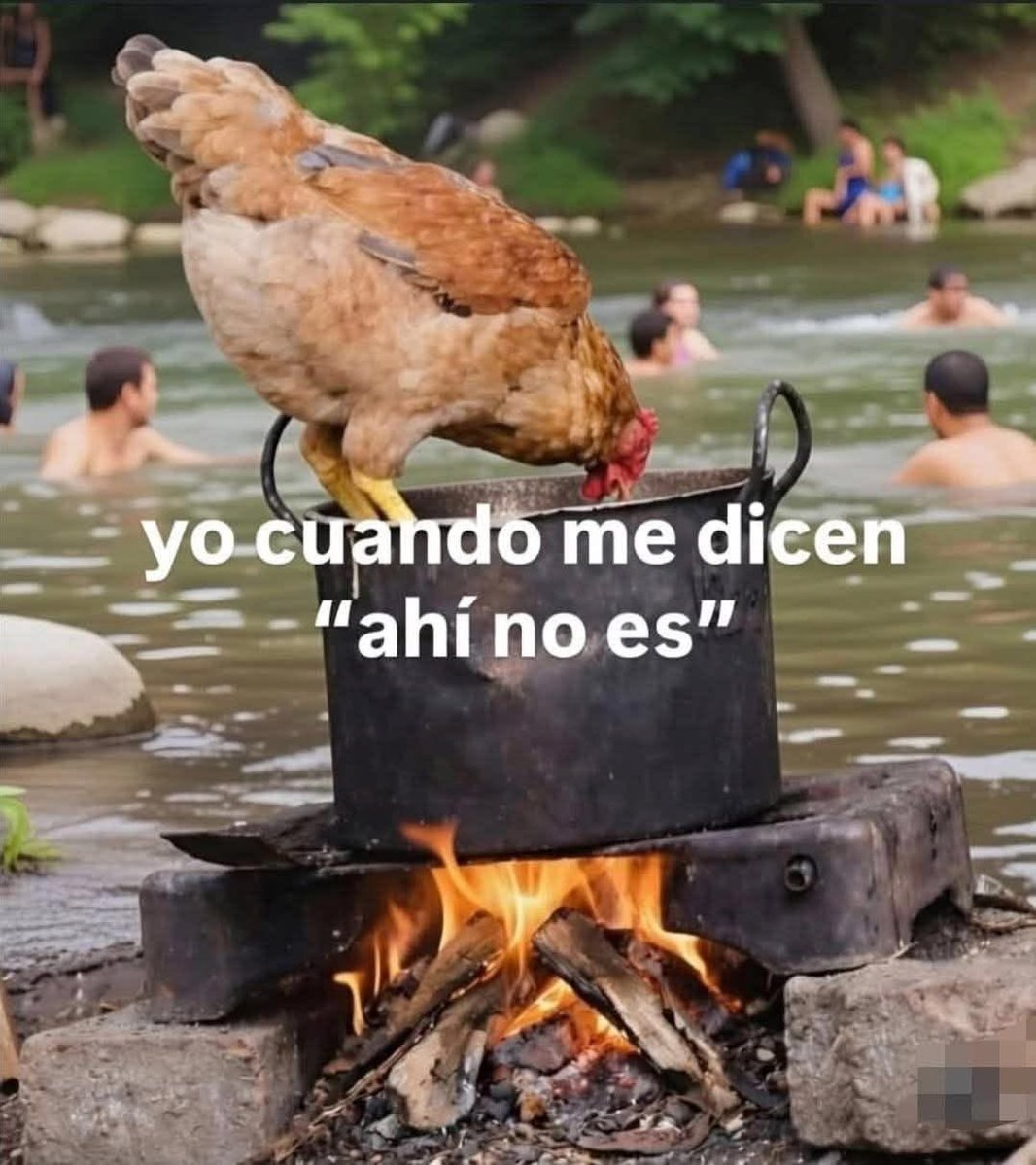conoloracigarro's tweet photo. https://t.co/s1Xmu4vBHl