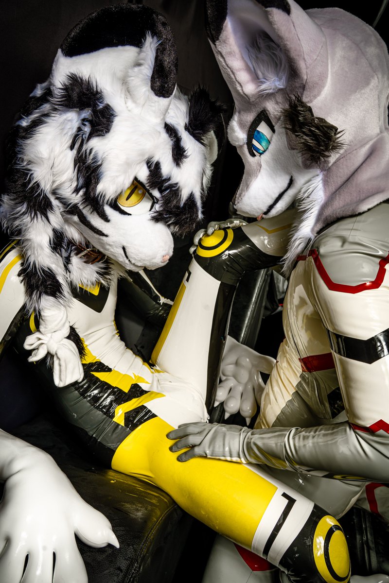 Fox_pups's tweet photo. 攝影:@tankaku0924 https://t.co/AQS83wOpot