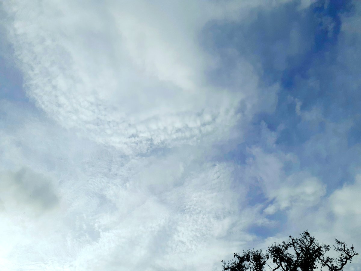 HandsDrawings's tweet photo. Clima agradable y fresco. 

La vida nos muestra patrones negativos para no repetirlos.

Construir desde nuestra zona de confort y tranquilidad. Hacer lo que nos plazca, desechar la culpa/autoengaño y dejar de sobrepensar. 

 #fotografía #Caracas #photography #写真 #照片 https://t.co/xWZLRnxhmF